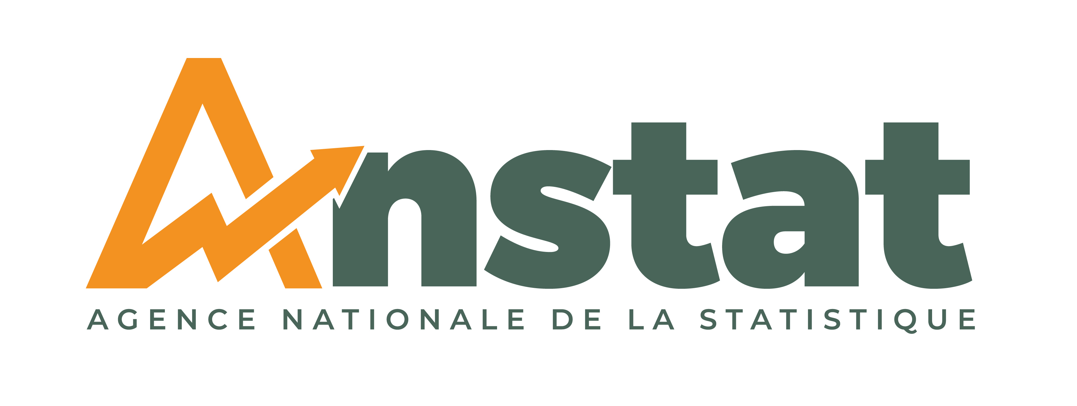 Agence Nationale de la Statistique